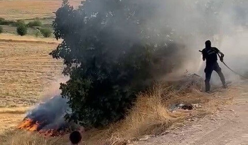 Adıyaman'da bahçe yangını paniğe neden oldu