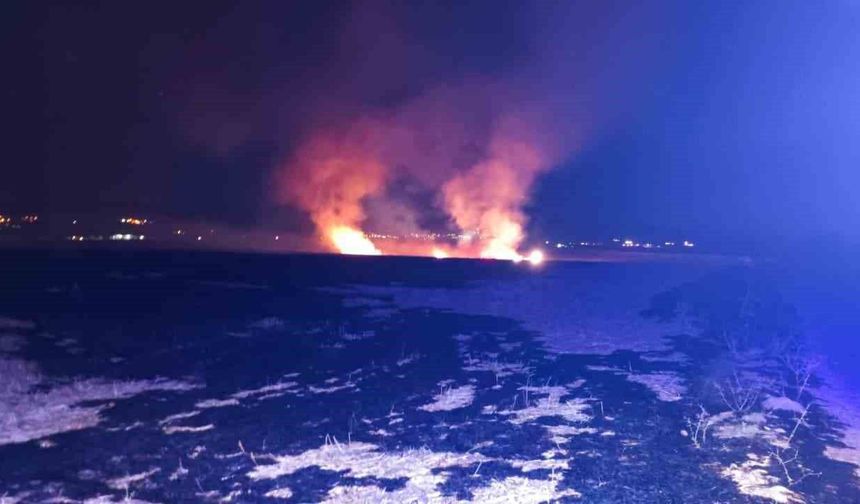 Adıyaman'da meydana gelen anız yangını korkuttu