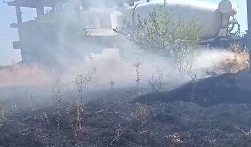 Adıyaman'da kopan elektrik telleri yangına neden oldu