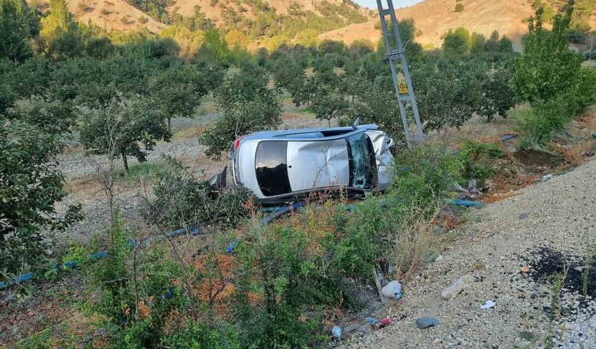 Otomobil meyve bahçesine yuvarlandı: 4 yaralı