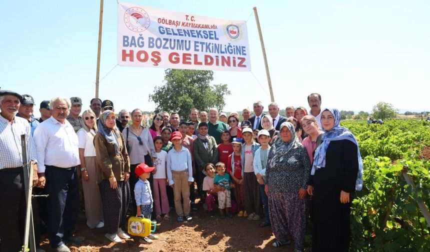 Gölbaşı ilçesinde bağ bozumu şenlikleri başladı