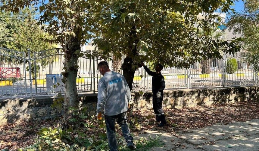Adıyaman Belediyesi ekipleri eski mezarlık'ta bakım ve temizlik çalışması başlattı