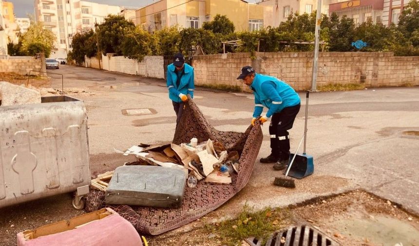 Adıyaman'da 245 personel ve 54 araçla, günlük ortalama 240 ton evsel atık toplanıyor