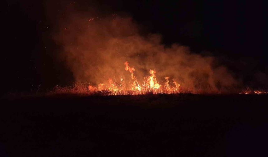 Adıyaman'da korkutan anız yangını