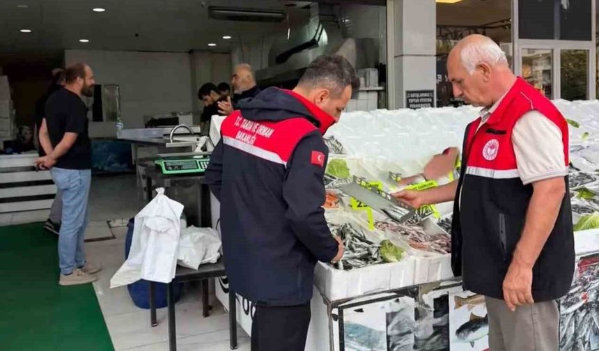 Adıyaman'da su ürünleri satış noktalarına denetim