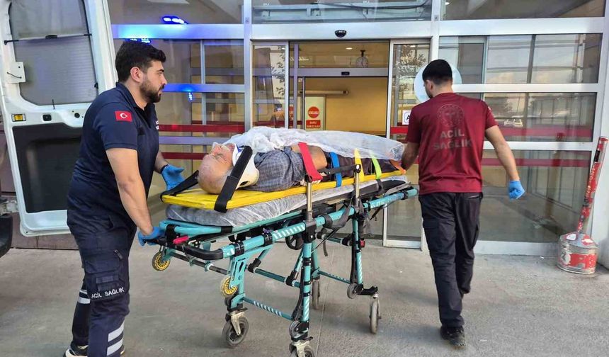 Ağaç keserken düşen yaşlı adam yaralandı