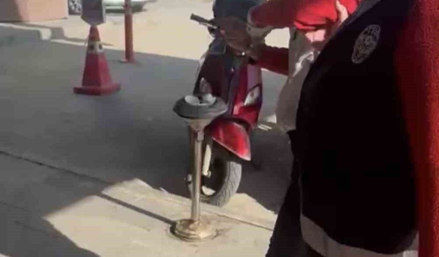 Kediye taşla vuran kadın yakalandı